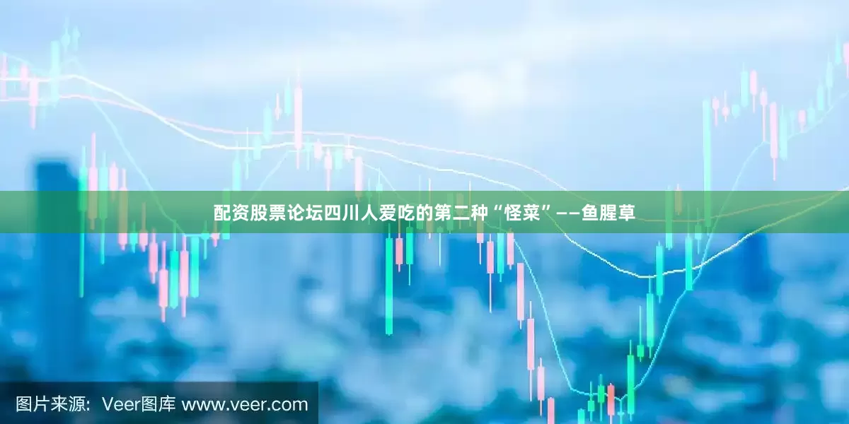 配资股票论坛四川人爱吃的第二种“怪菜”——鱼腥草
